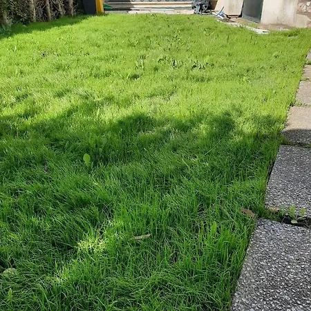 Casa Zila - Relax Nel Verde - Citra 009029-lt-1693 Appartamento